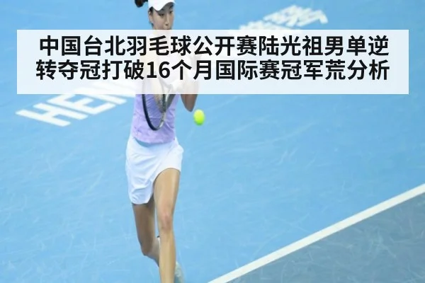 中国台北羽毛球公开赛陆光祖男单逆转夺冠打破16个月国际赛冠军荒分析